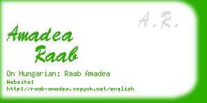 amadea raab business card
